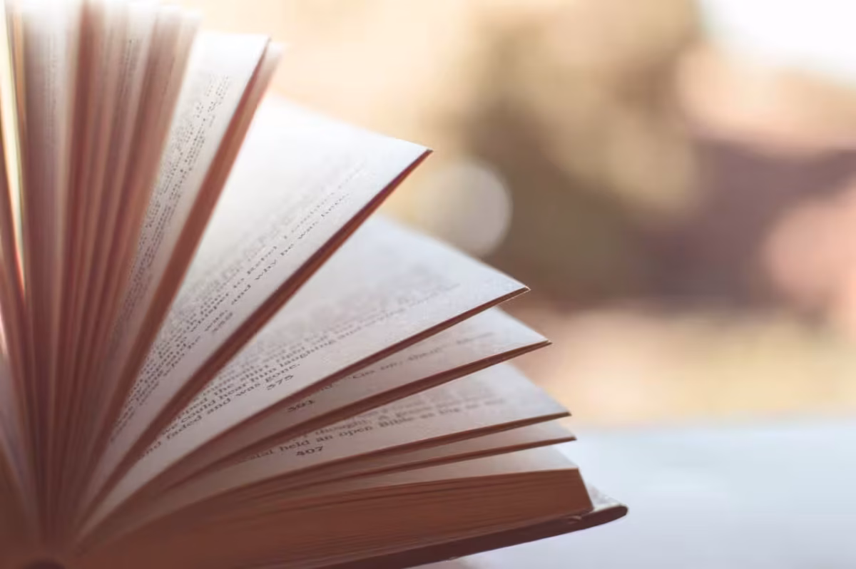 importanza coerenza narrativa romanzo
